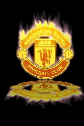 整体表现的 整体表现的